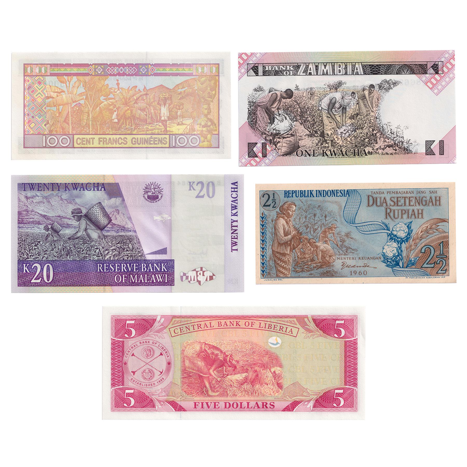 5 Banknote Collection | Farming | Harvesting | Plants | Corn | Cotton | Banana | Tea | Rice