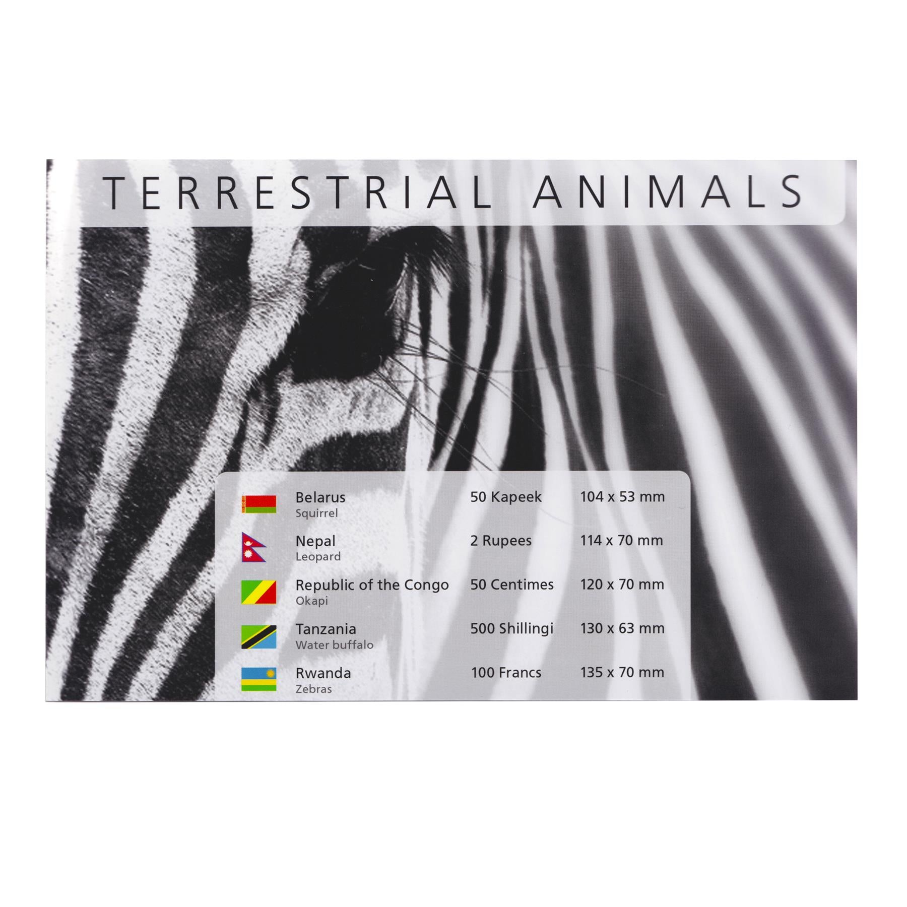 5 Banknote Set | Terrestrial Animals | Squirrel | Leopard | Okapi | Water Buffalo | Zebra