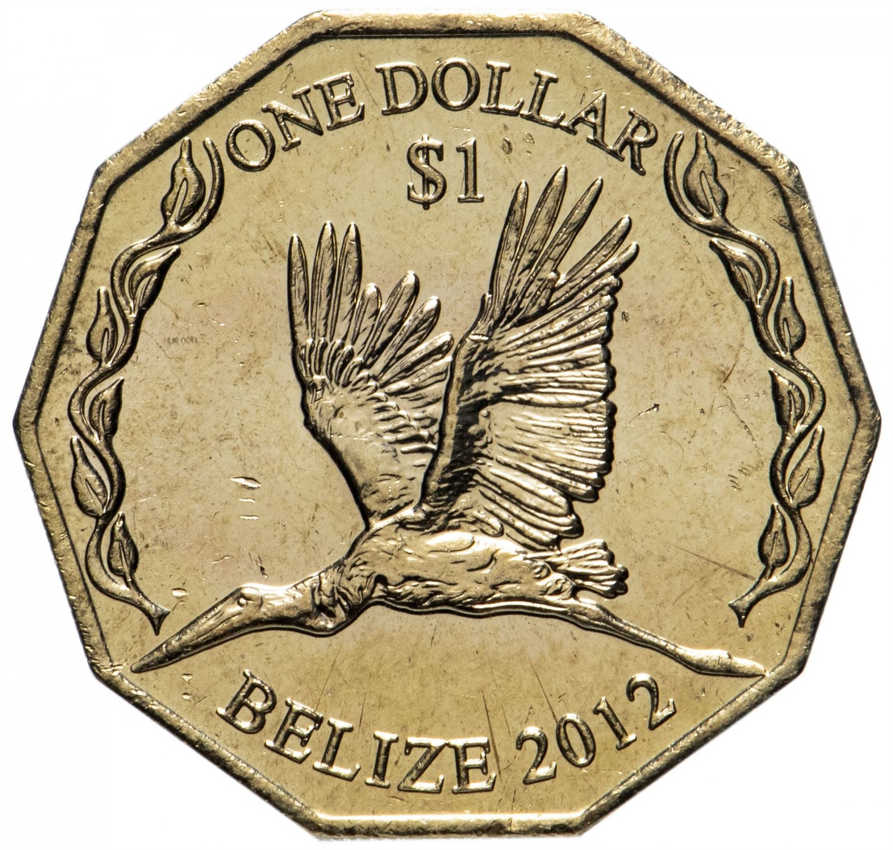 Belize | 1 Dollar Coin | Elizabeth II | Jabiru Stork | KM136 | 2012