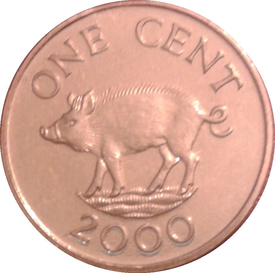 Bermuda | 1 Cent Coin | Queen Elizabeth II | Wild Boar | KM107 | 1999 - 2008