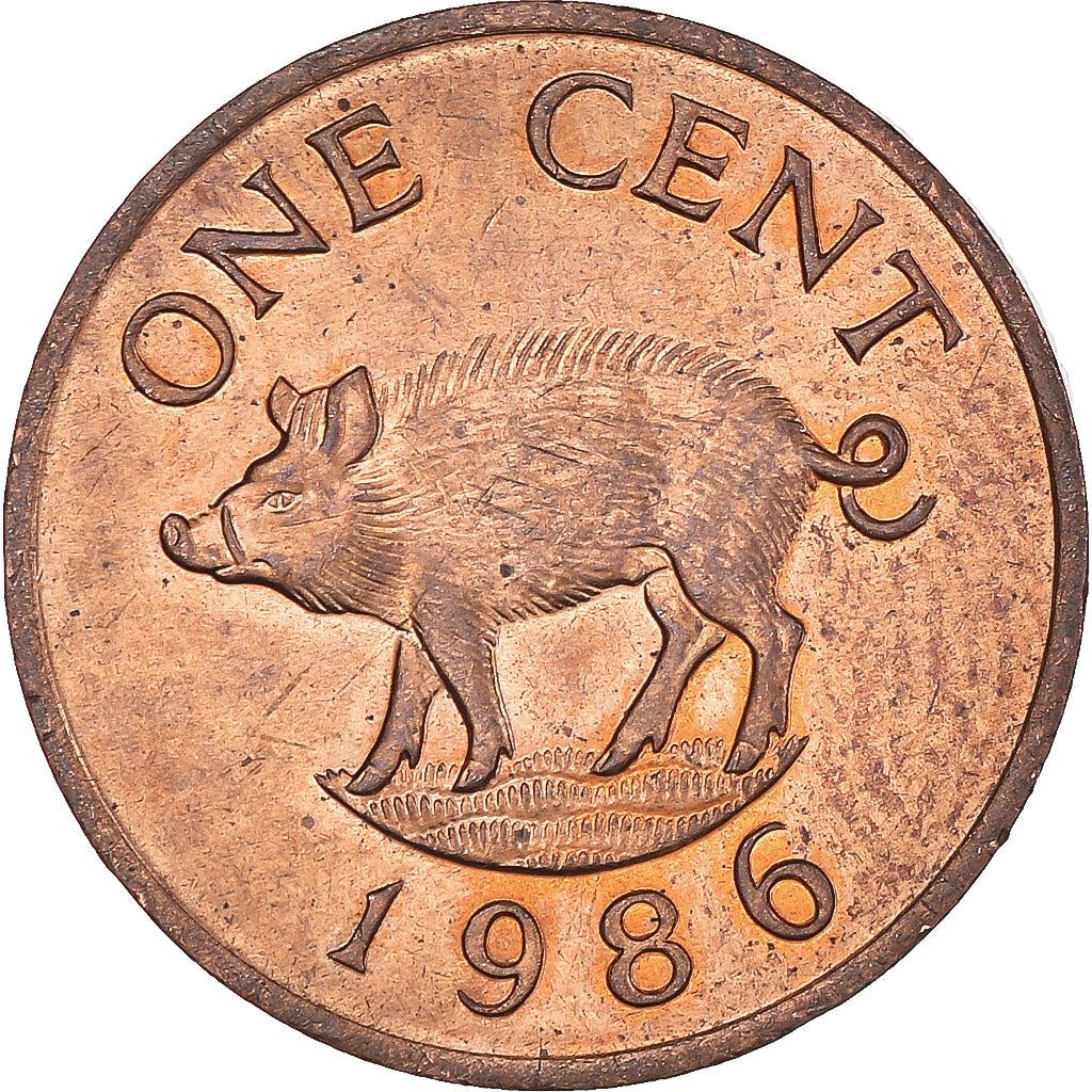 Bermuda | 1 Cent Coin | Queen Elizabeth II | Wild Boar | KM44 | 1986 - 1990