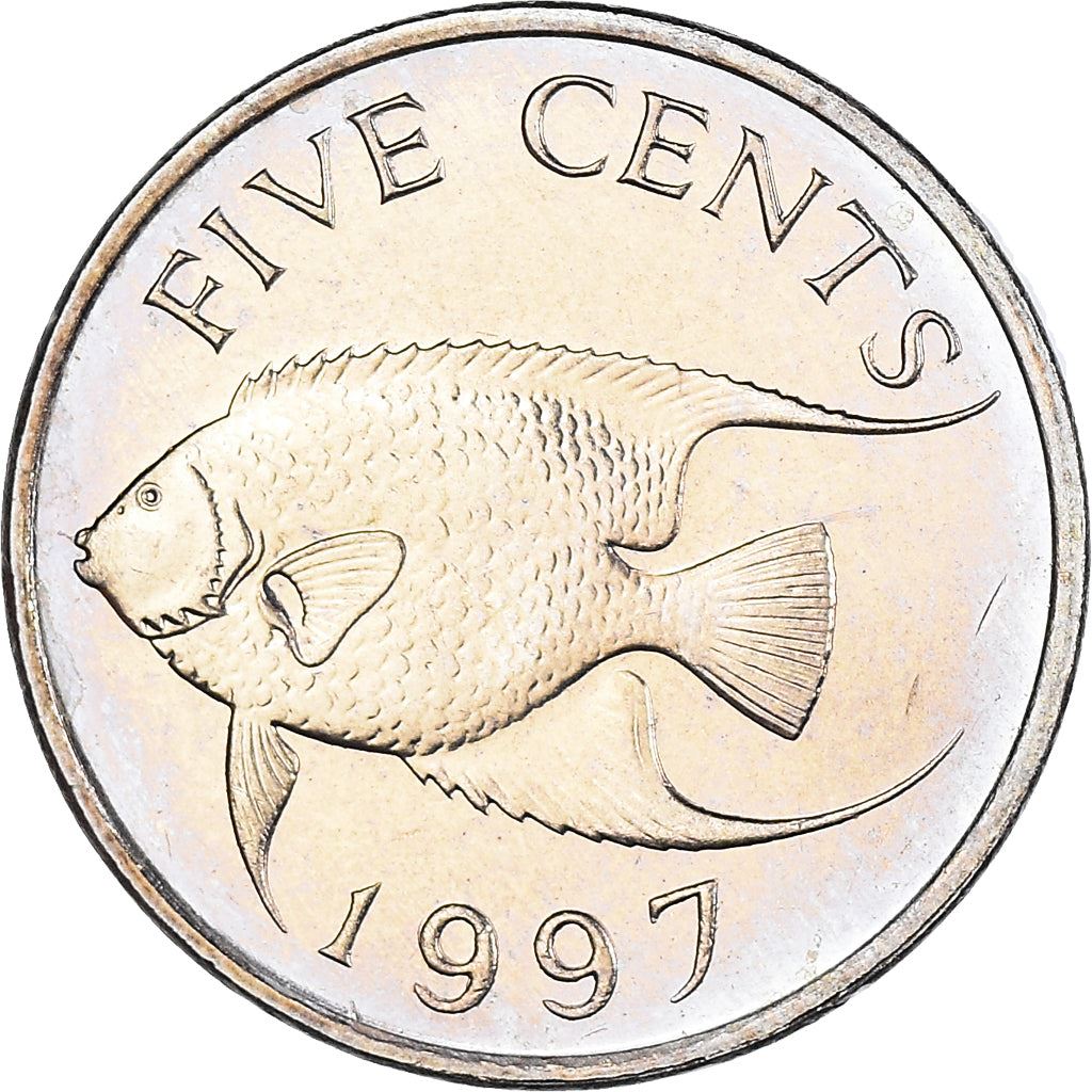 Bermuda | 5 Cents Coin | Queen Elizabeth II | Angelfish | KM45 | 1986 - 1998