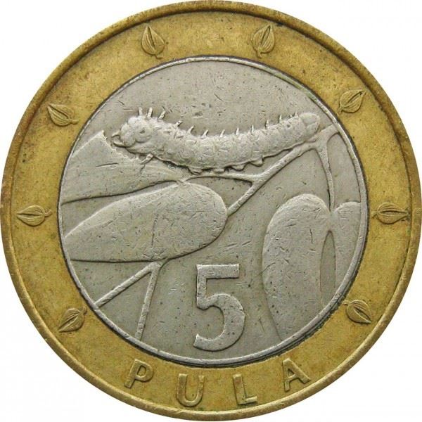 Botswana 5 Pula Coin | Mopane Worm | KM30 | 2000 - 2007