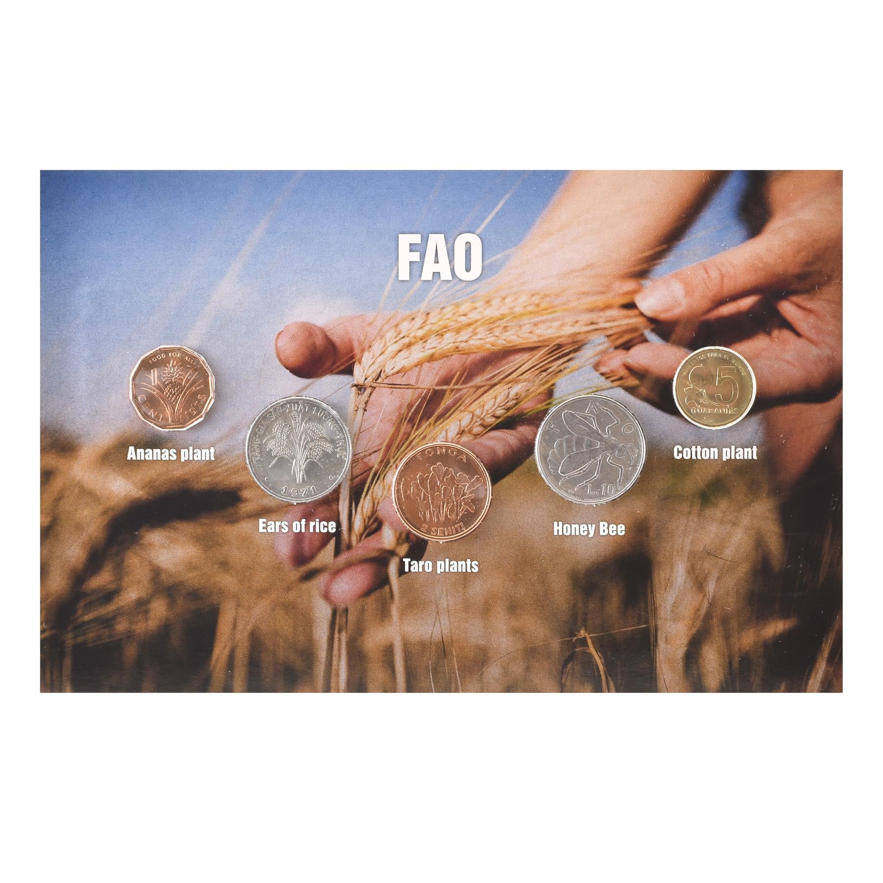 FAO Coin Set | Food and Agriculture Organization of the United Nations | Ananas | Rice | Taro | Honey Bee | Cotton Plant