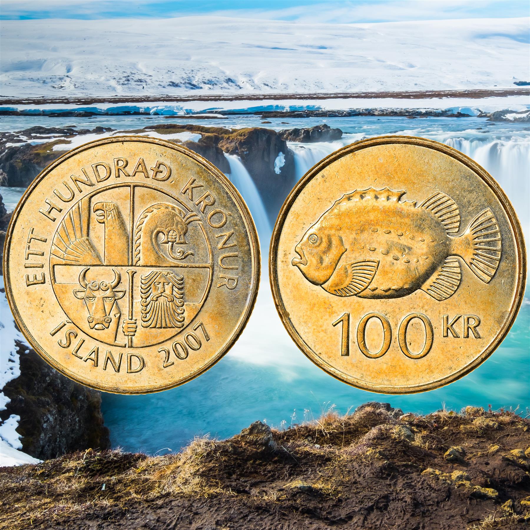 Icelander 5 Coin Set 1 5 10 50 100 Krónur | Bull | Eagle | Stingray | Cod | Cyclopterus Lumpus | Dolphins | Landvættir | Iceland | 1987 - 2011