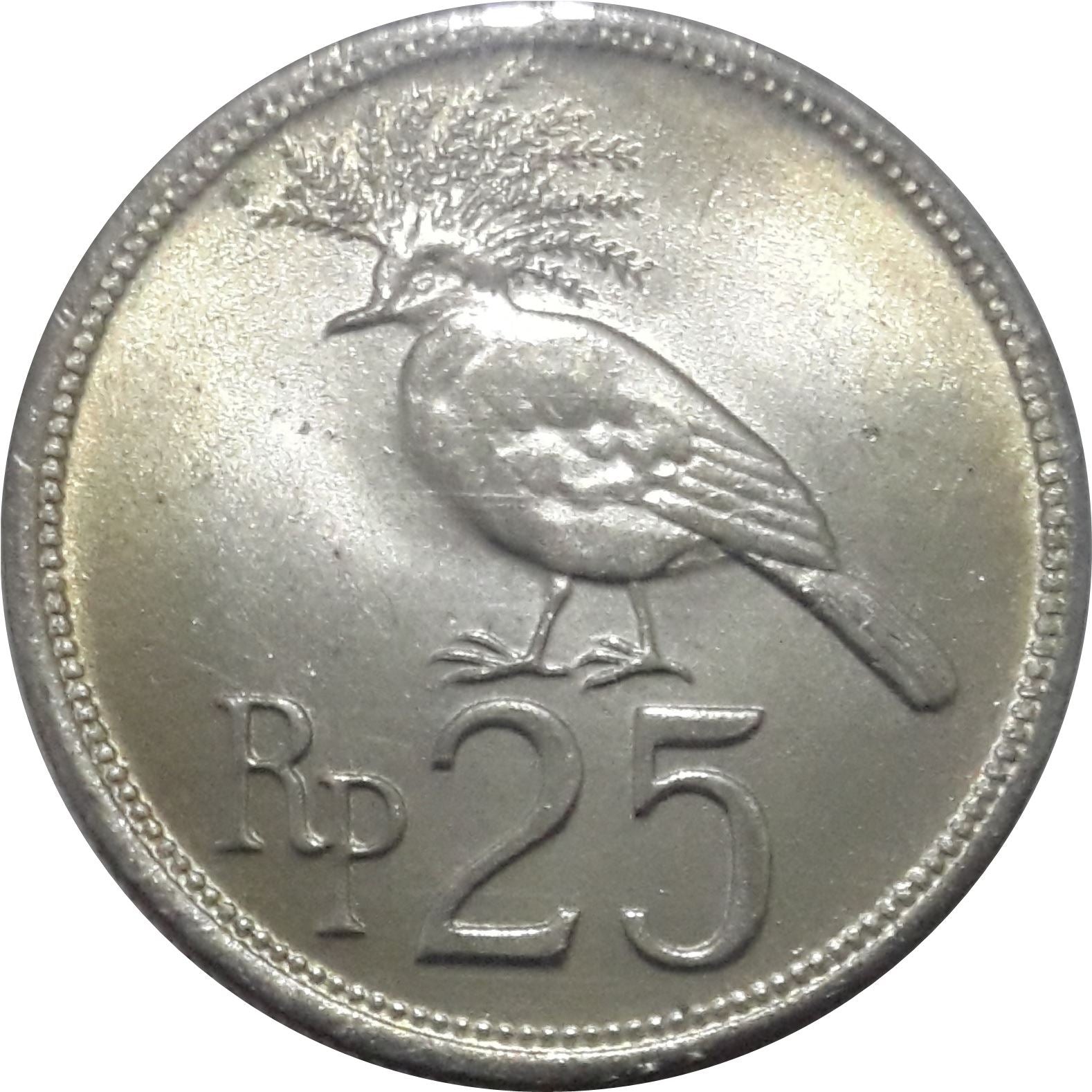 Indonesia 25 Rupiah Coin KM34 1971