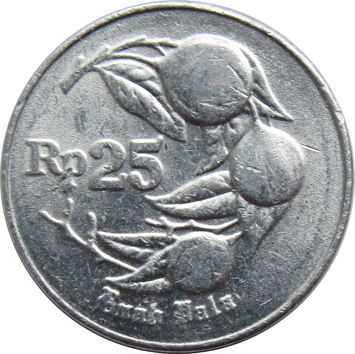 Indonesian 25 Rupiah Coin | Nutmeg | Myristica Fragrans | KM55 | Indonesia | 1991 - 1996