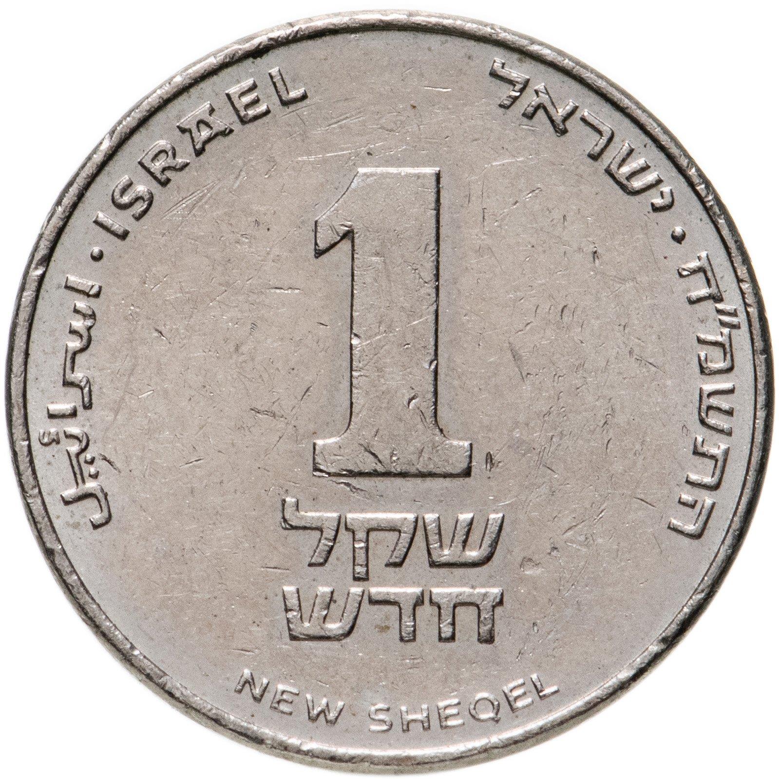 Israel | 1 New Sheqel Maimonides | KM198 | 1988