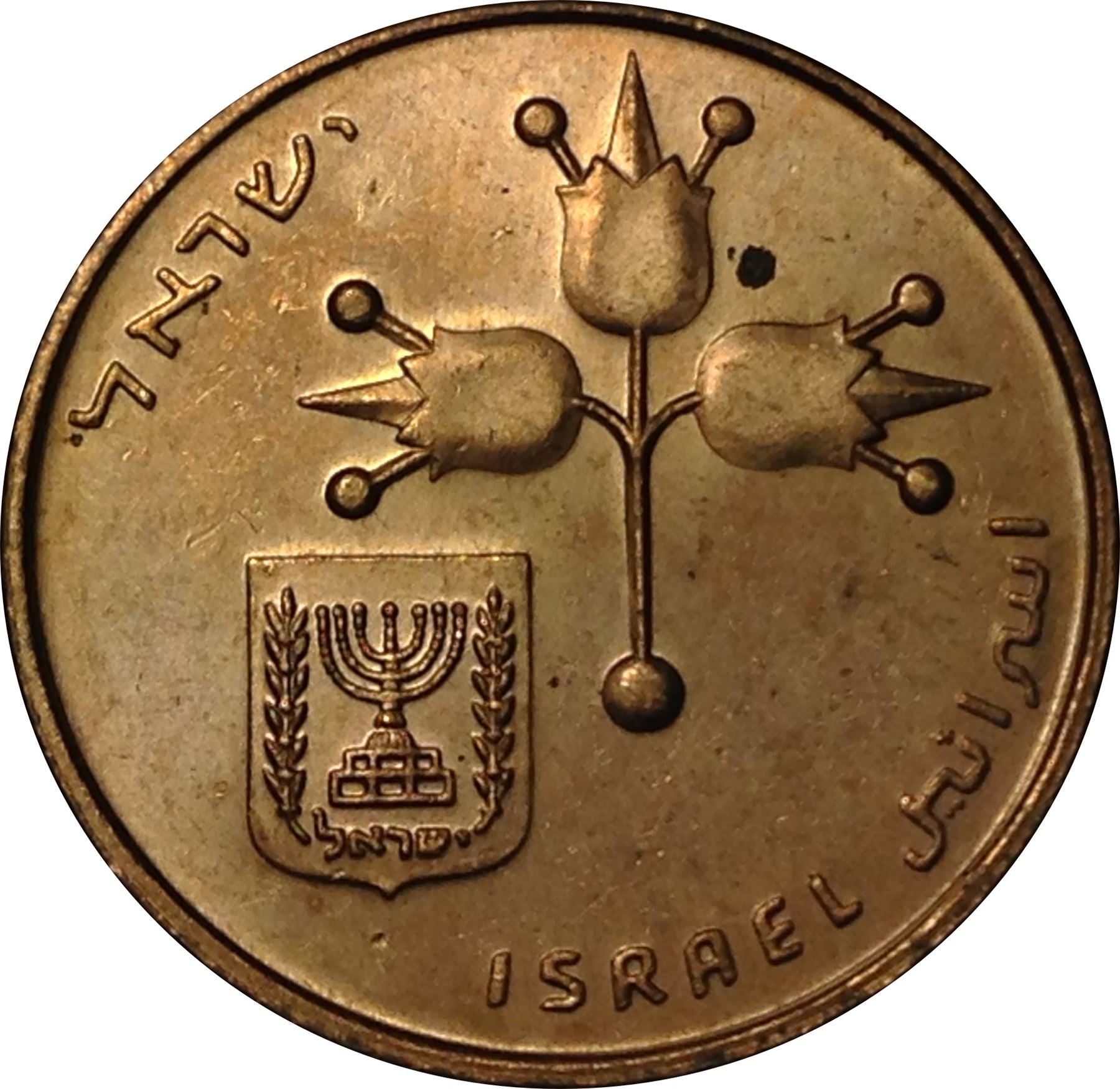 Israel | 10 New Agorot Coin | Grenadine Fruit | KM108 | 1980 - 1985