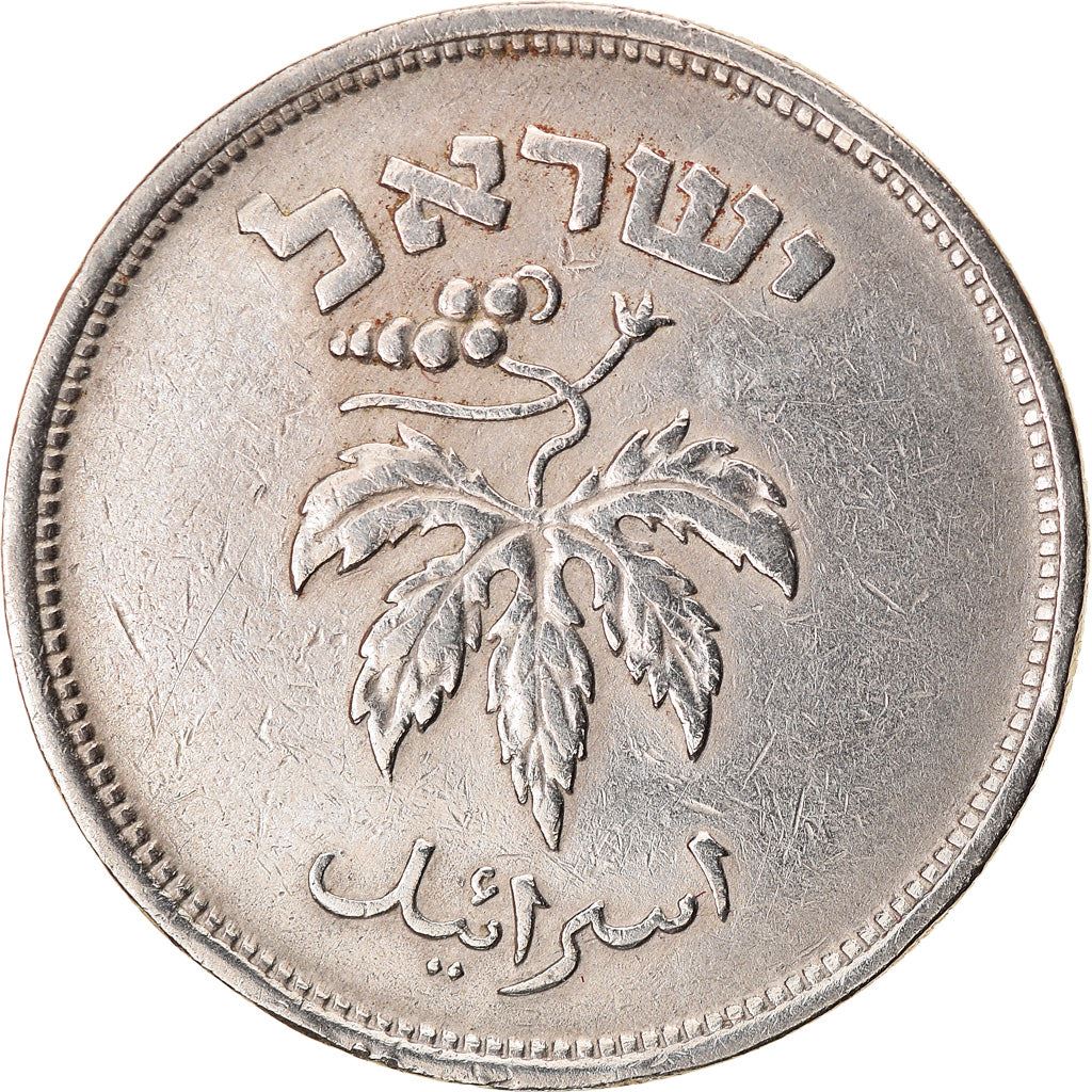 Israel | 50 Pruta Coin | Grape | Olive Branch | KM13.1 | 1949 - 1954