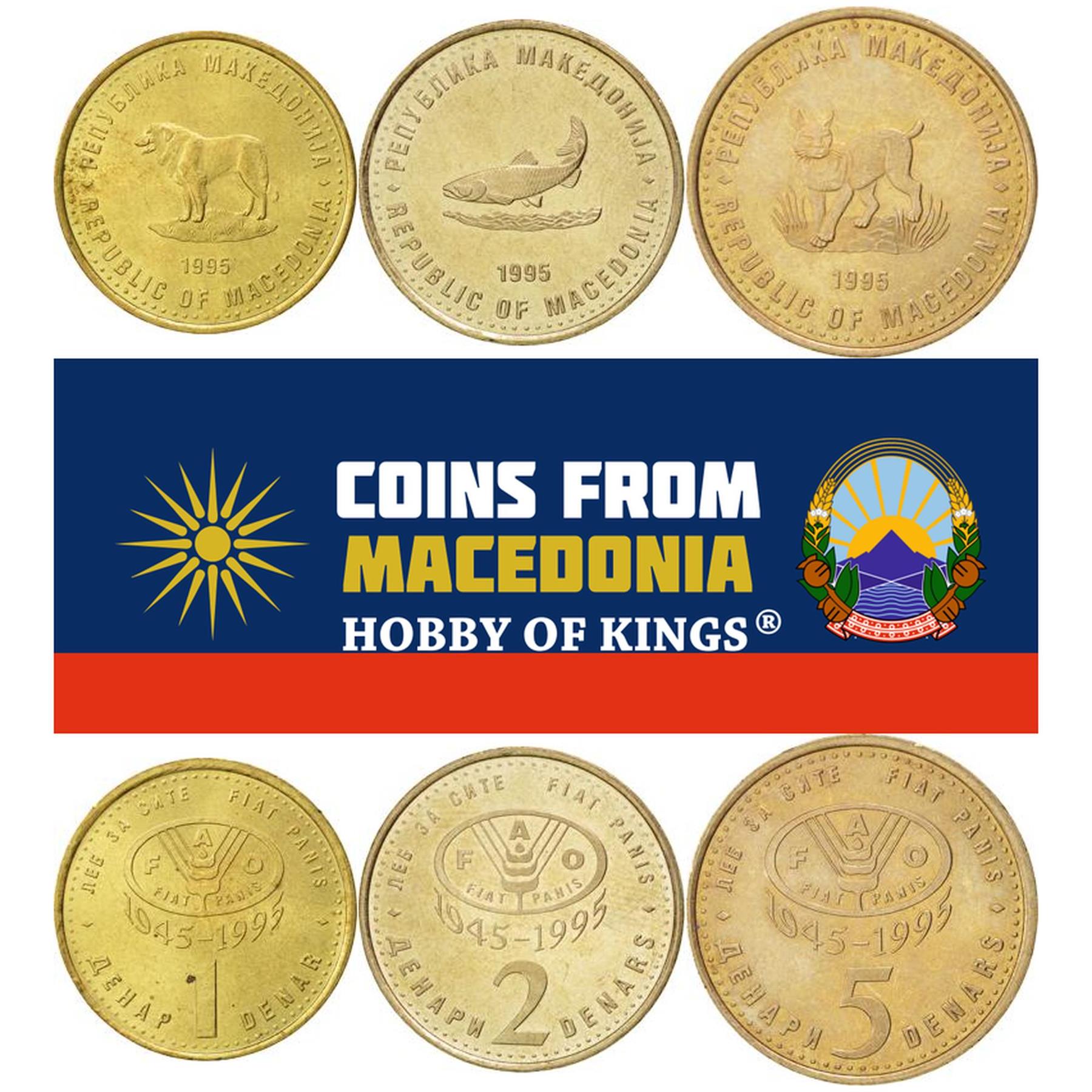 Macedonian 3 Coin Set 1 2 5 Denari | Sarplaninac Dog | Trout | Lynx | North Macedonia | 1995