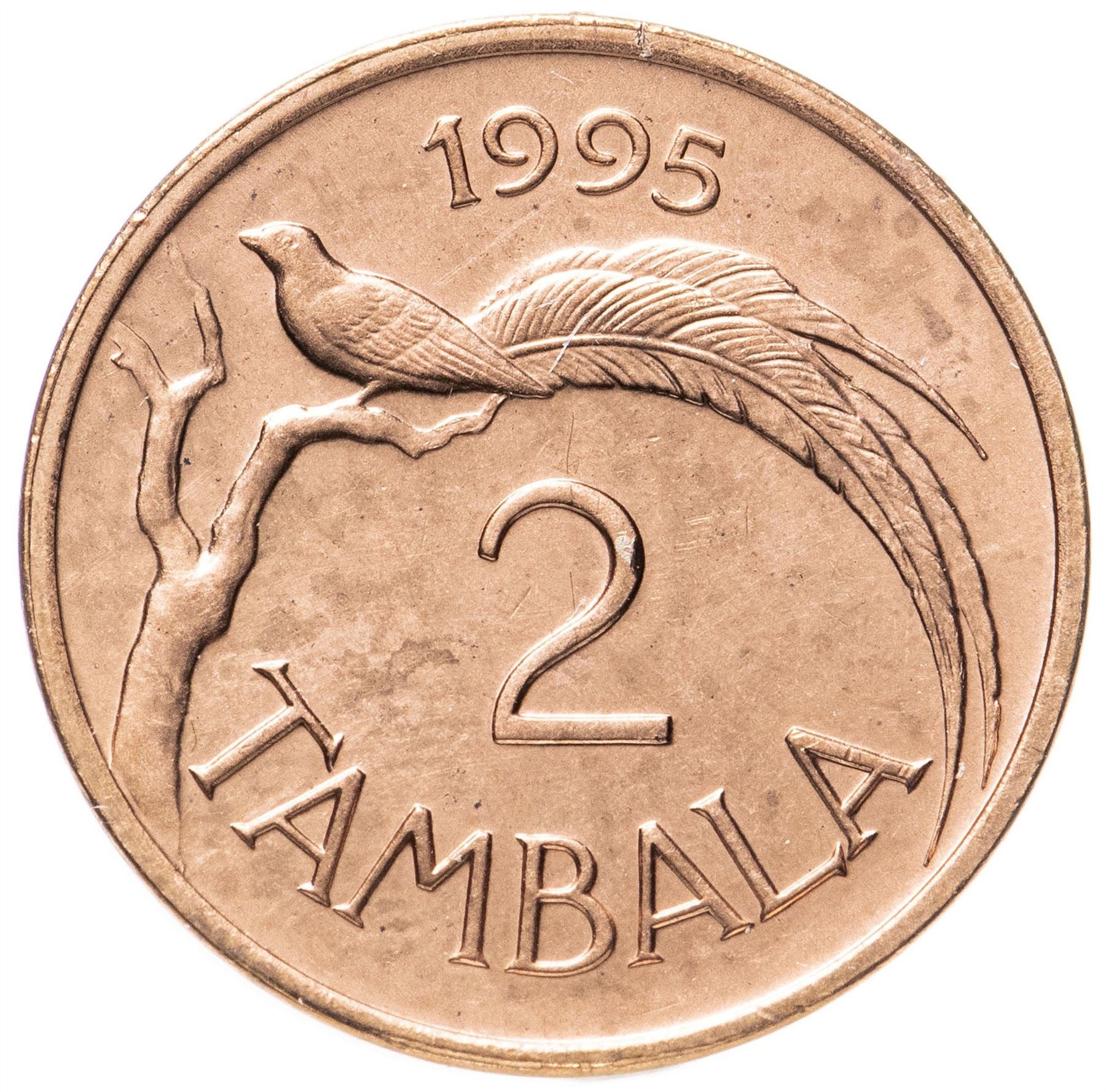 Malawi 2 Tambala Coin | Paradise Whydah Bird | KM34 | 1995