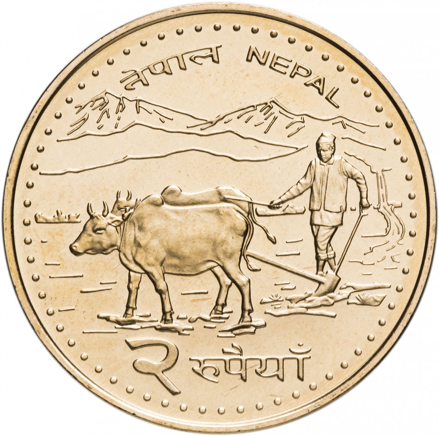 Nepal Coin Nepali 2 Rupees | Mount Everest | Water Buffalos | KM1188 | 2006 - 2009