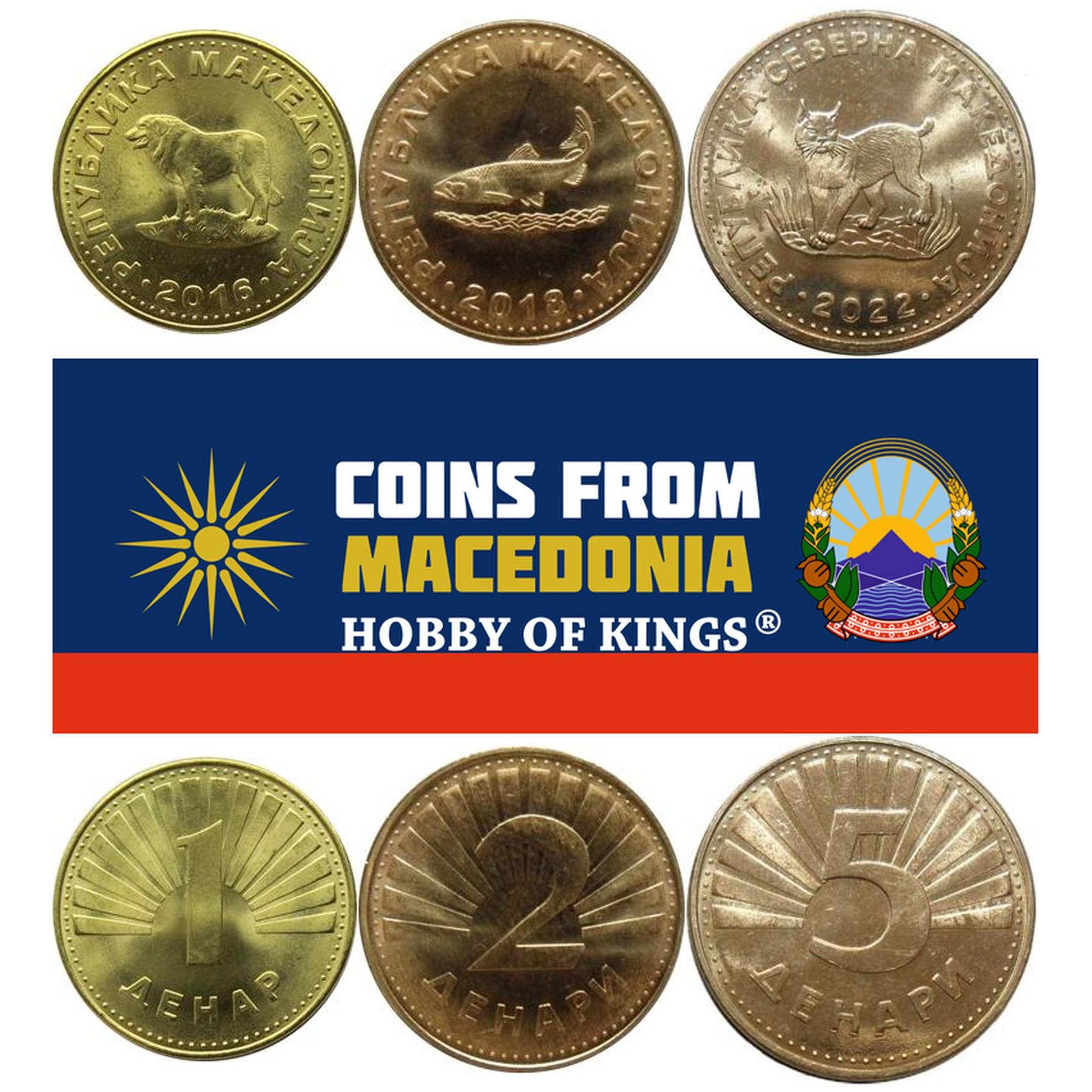 North Macedonia | 3 Coin Set | 1 Denar 2 5 Denari | Shepherd dog | Ohrid trout | Balkan Lynx | 2016 - 2022