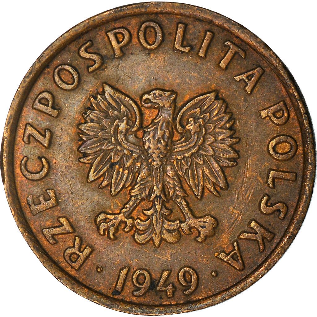 Polish 5 Groszy Coin | Eagle | Poland | 1949