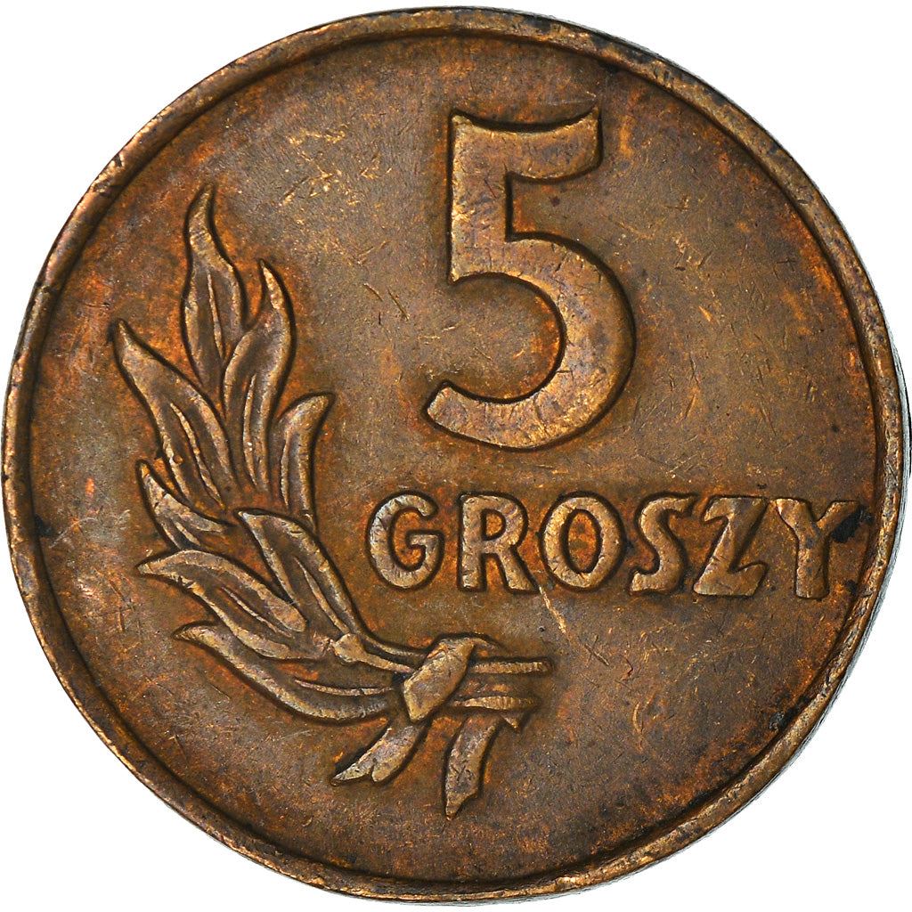 Polish 5 Groszy Coin | Eagle | Poland | 1949