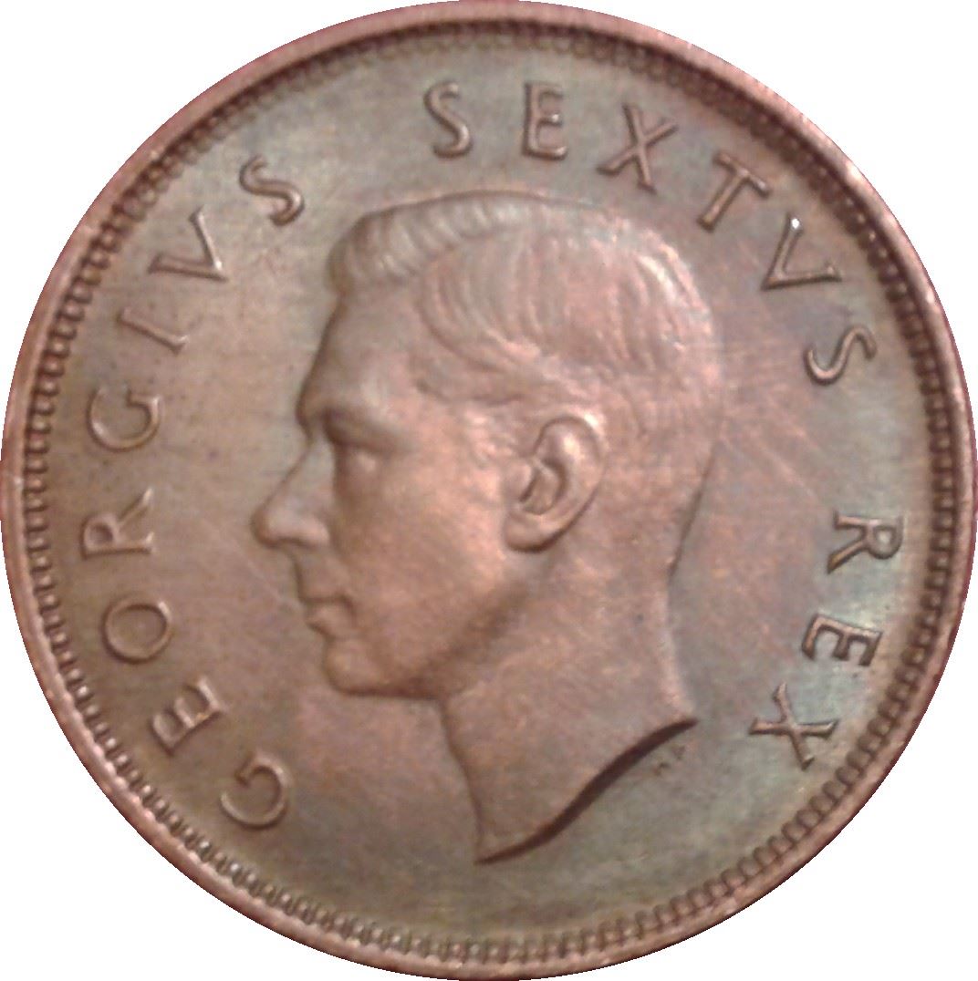 South Africa 1/2 Penny Coin | George VI | KM33.1 | 1948 - 1950