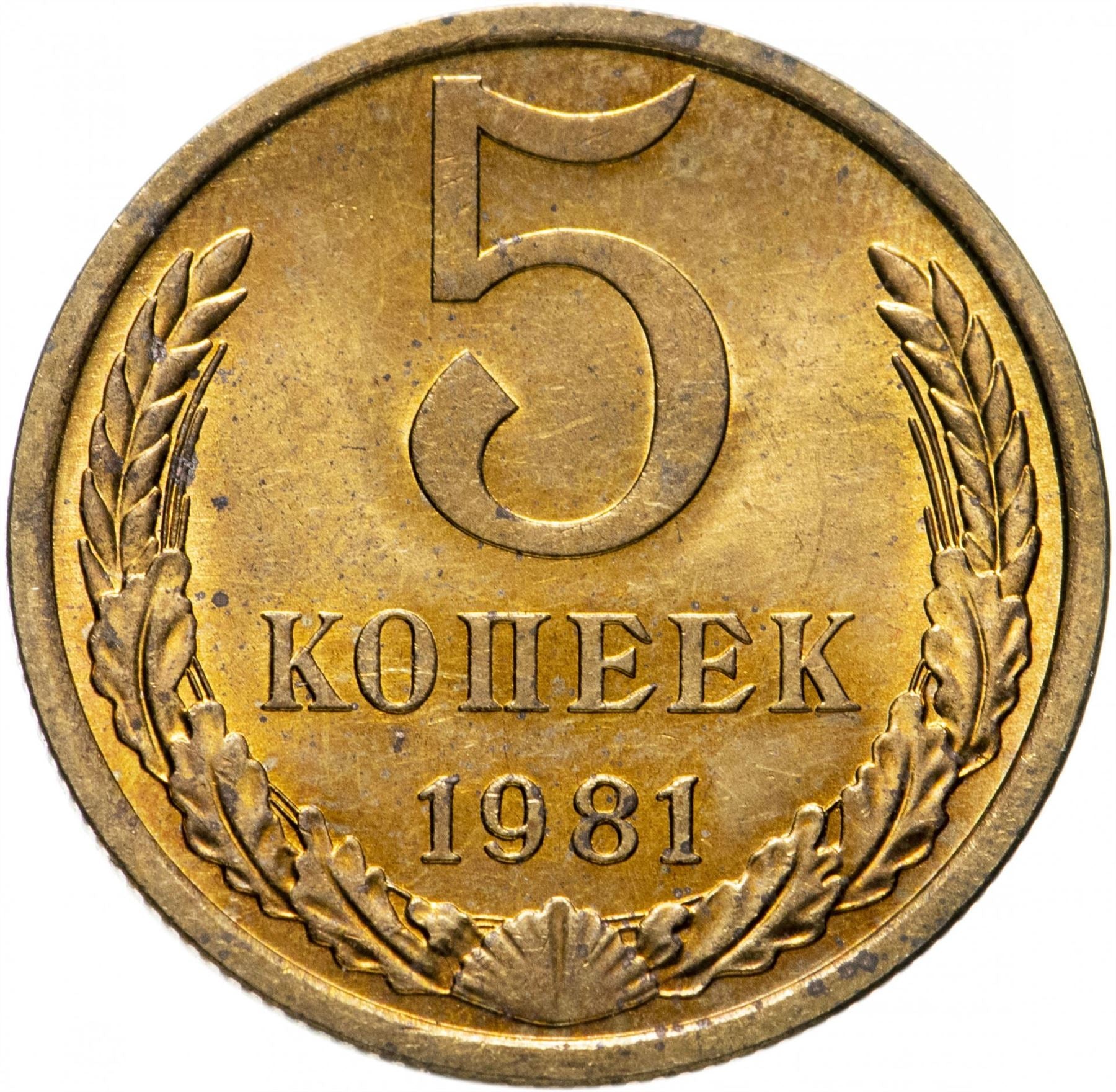 Soviet Union (Russia) Coin Soviet 5 Kopeks | Hammer and Sickle | Y129a | 1961 - 1991