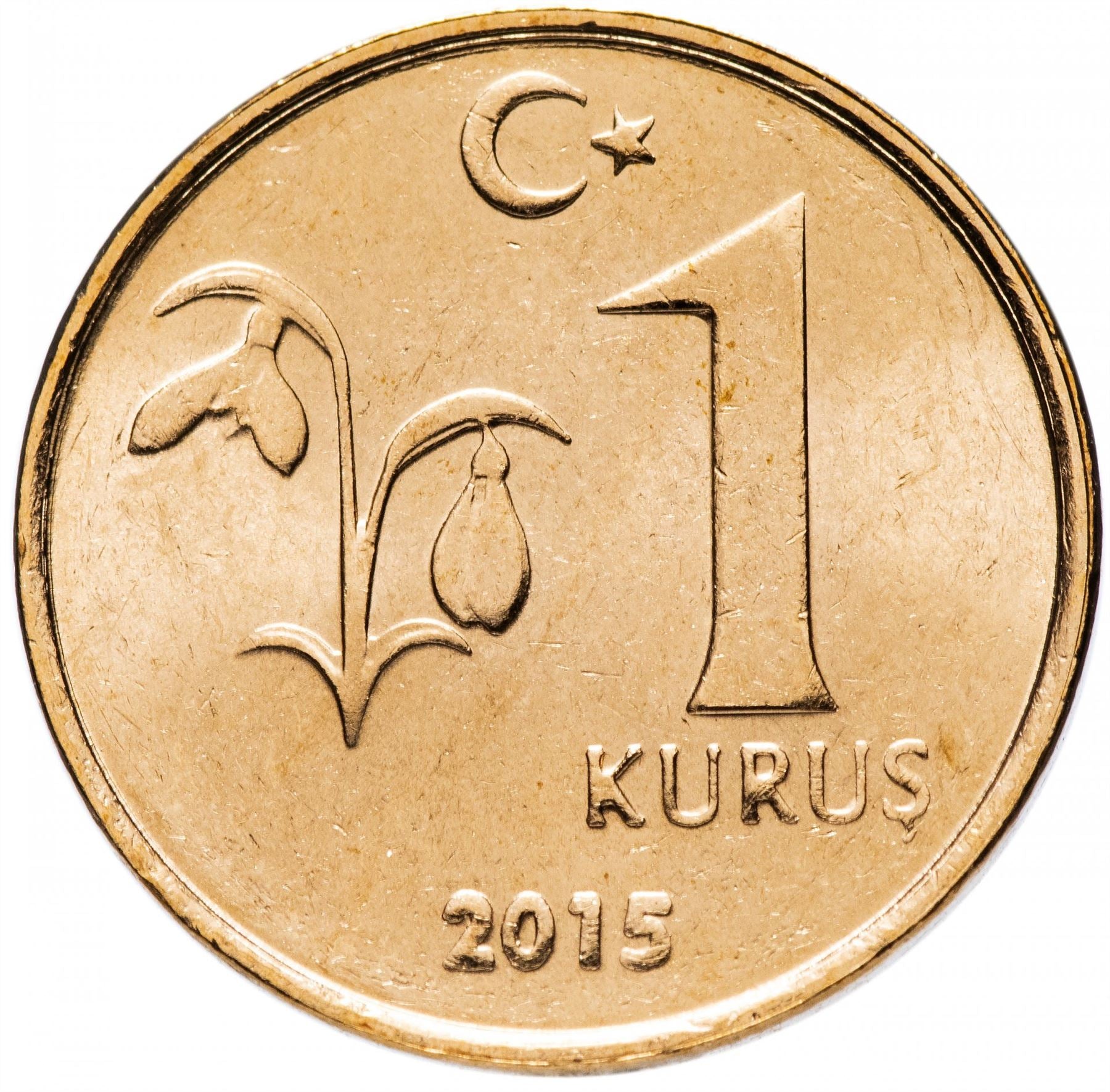 Turkey Coin Turkish 1 Kurus | President Mustafa Kemal Ataturk | Snowdrop Flower | KM1239 | 2009 - 2020