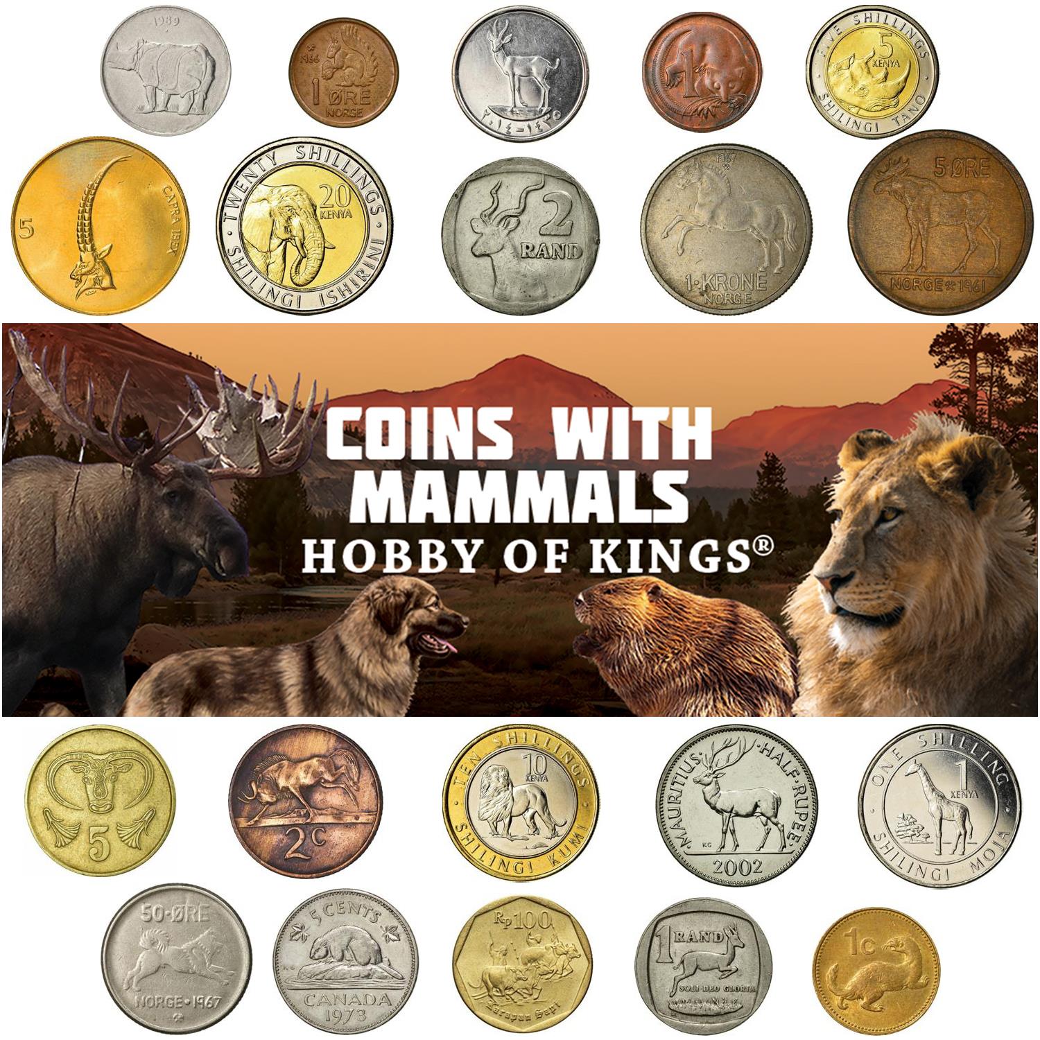 Coins With Different Mammals | Dogs, Cats, Bulls, Horses, Lions, Rhinos, Elephants and More