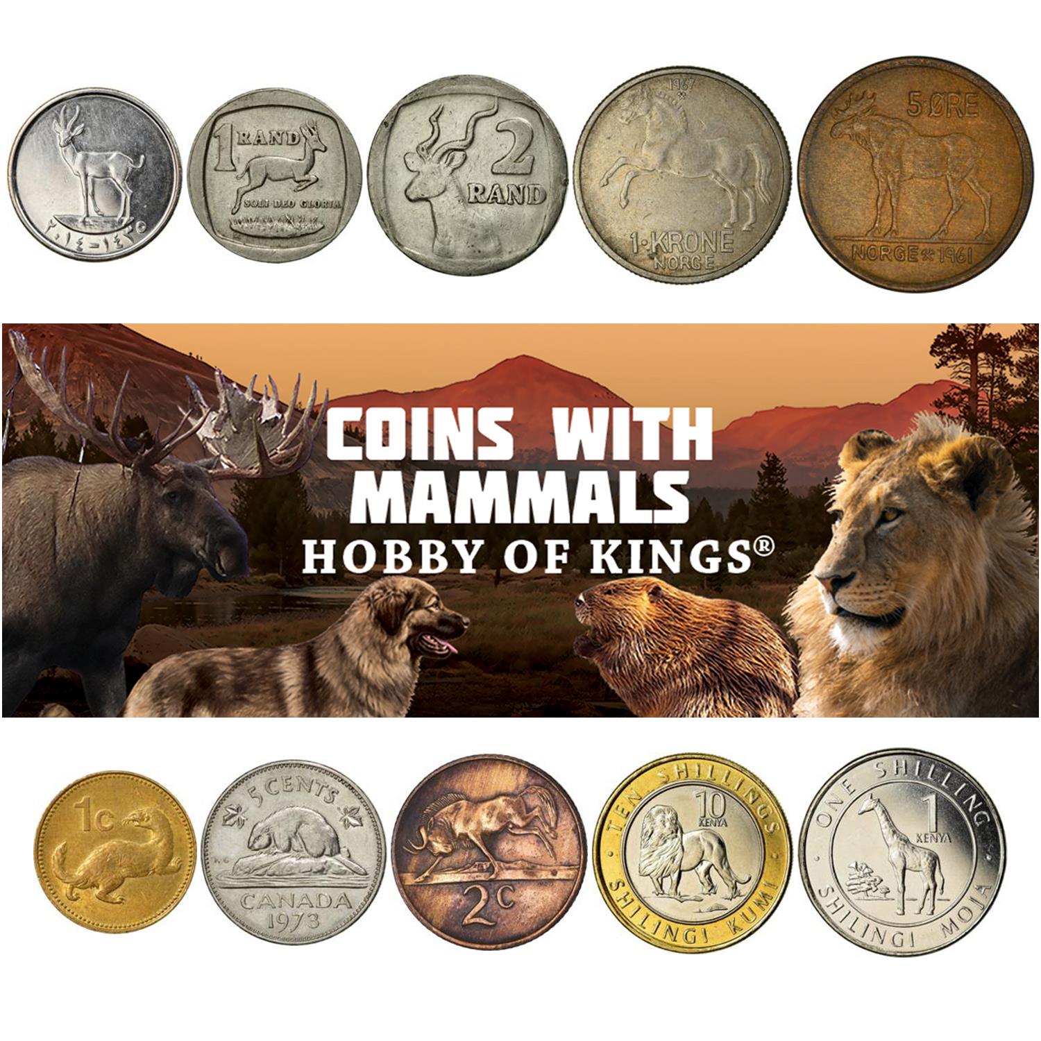 Coins With Different Mammals | Dogs, Cats, Bulls, Horses, Lions, Rhinos, Elephants and More