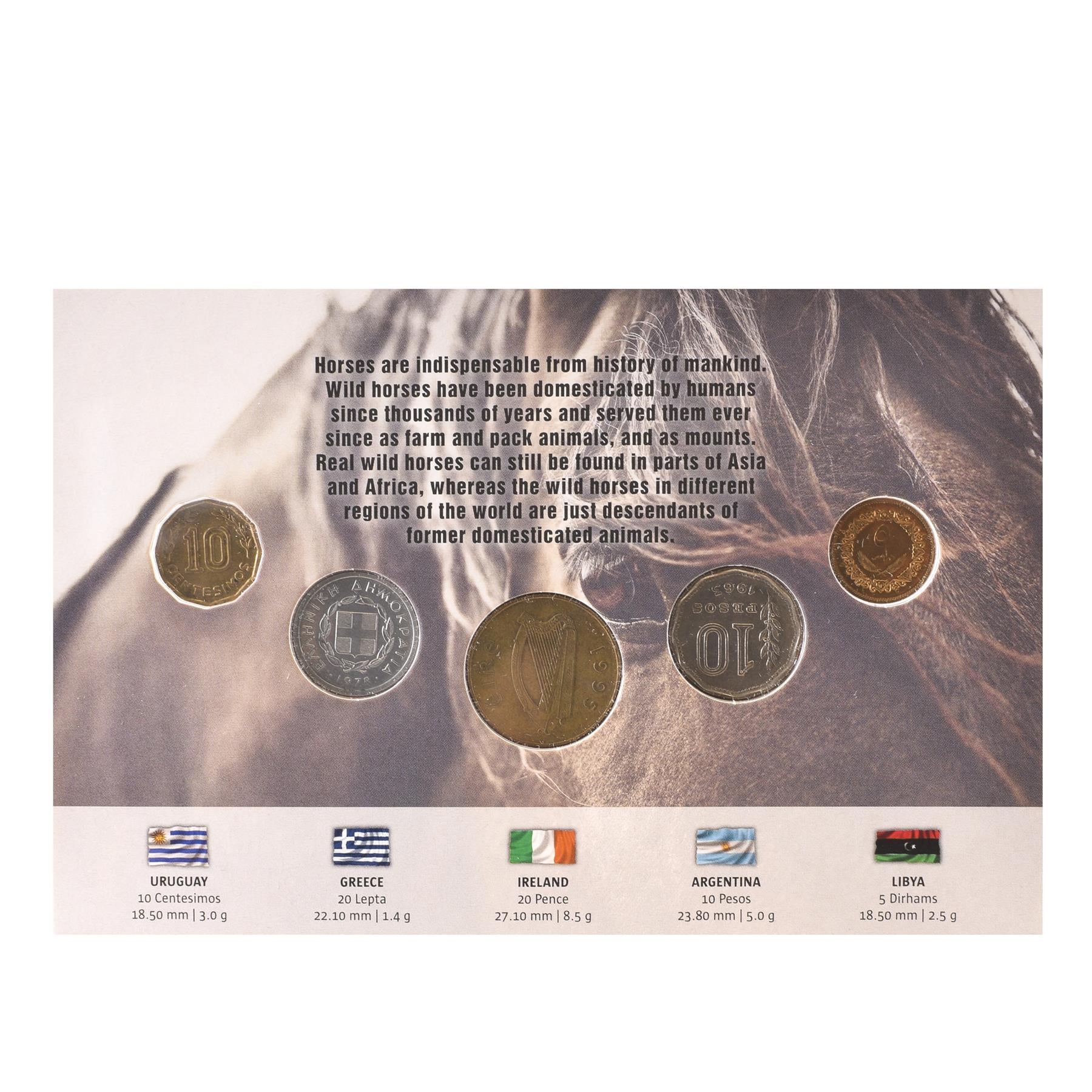 Wild Horses 5 Coin Set | Warrior on Horse | Stud | Irish Hunter | Stallion | Mustang