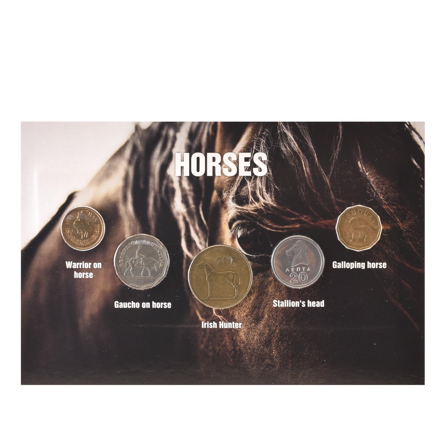 Wild Horses 5 Coin Set | Warrior on Horse | Stud | Irish Hunter | Stallion | Mustang